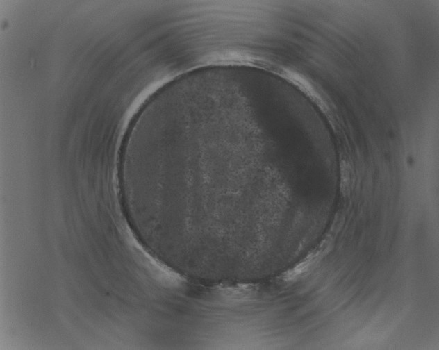 X0000077351331200611031811