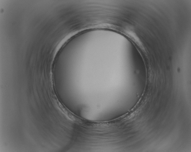 X0000077351332200611031811