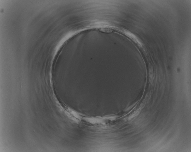 X0000077351334200611031811