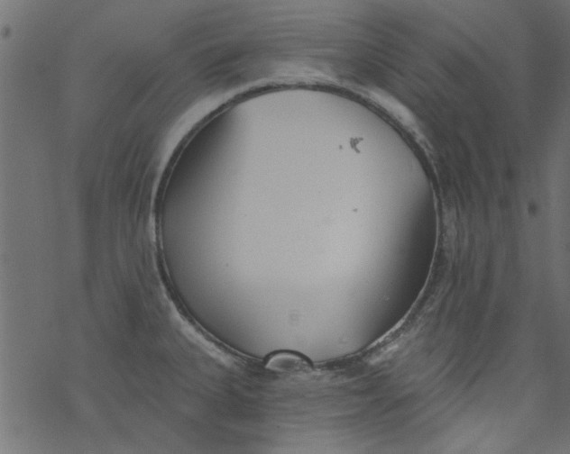 X0000077351335200611031811