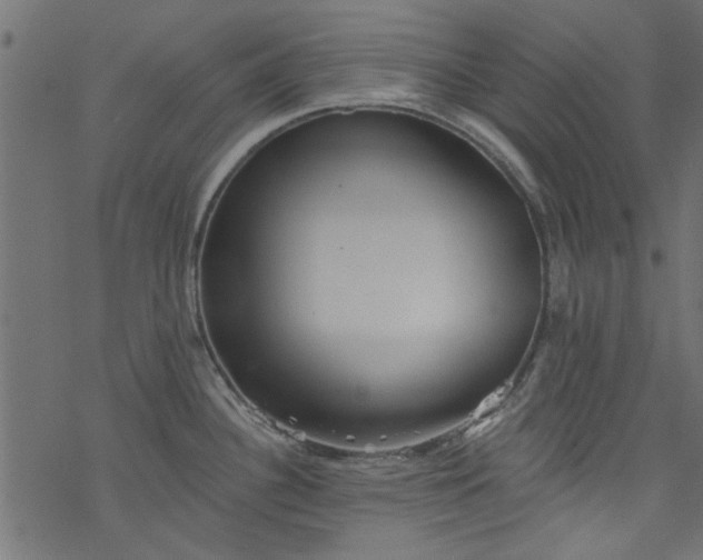 X0000077351340200611031811