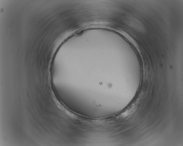 X0000077351341200611031811