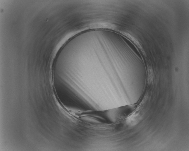 X0000077351342200611031811