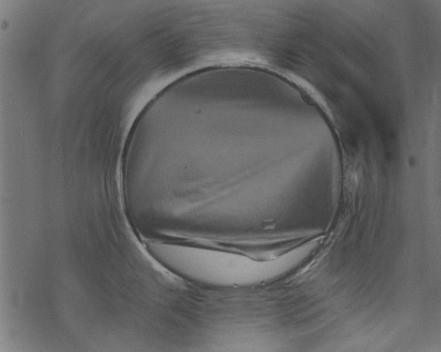 X0000077351343200611031811