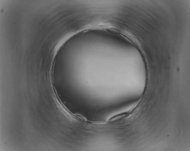 X0000077351344200611031811