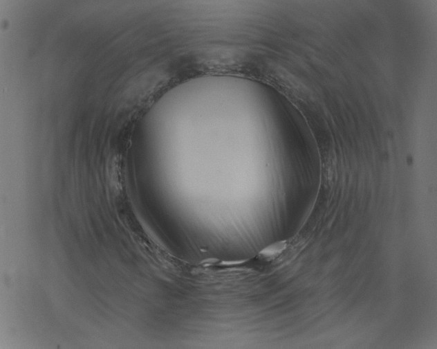 X0000077351346200611031811