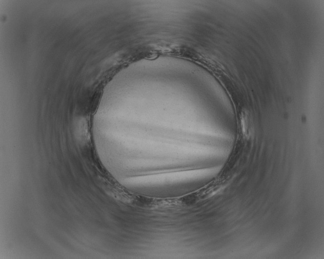 X0000077351347200611031811