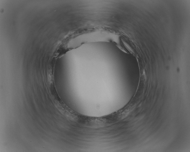 X0000077351348200611031811