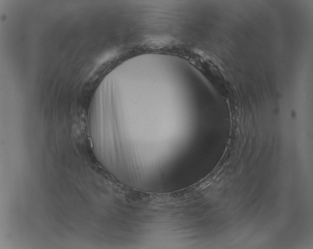 X0000077351349200611031811