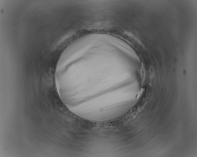 X0000077351350200611031811