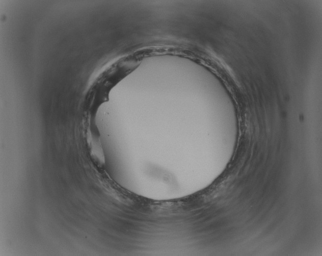 X0000077351352200611031811