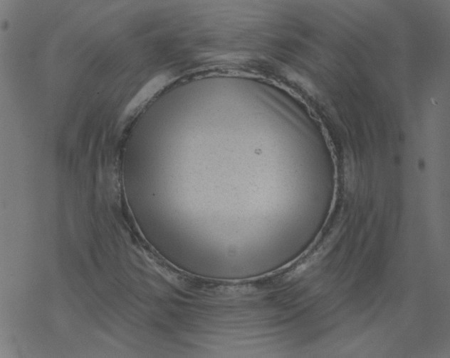 X0000077351354200611031811