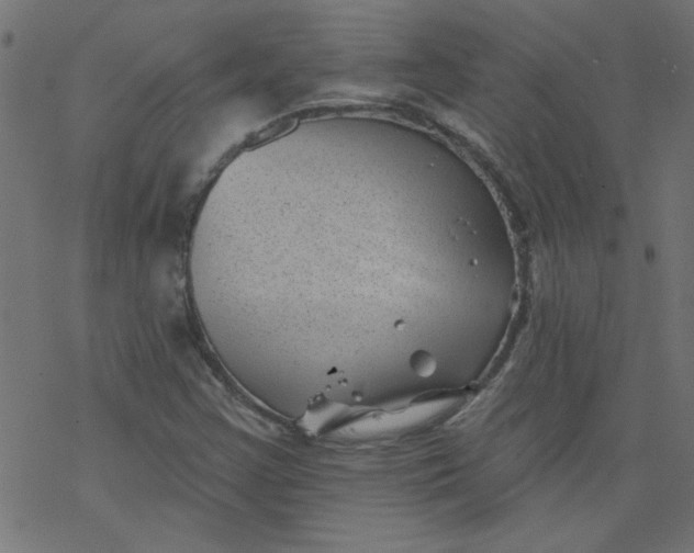 X0000077351355200611031811