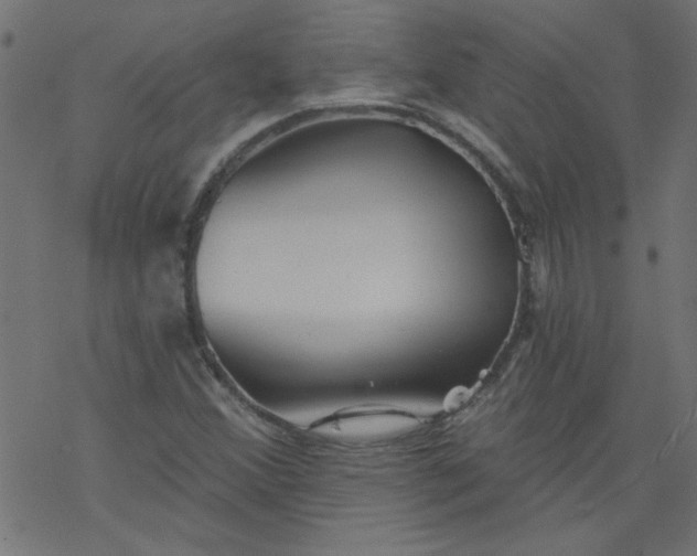 X0000077351356200611031811