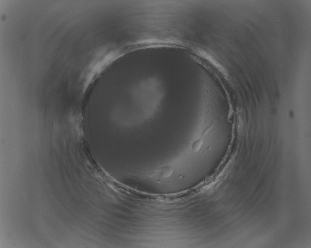 X0000077351357200611031811