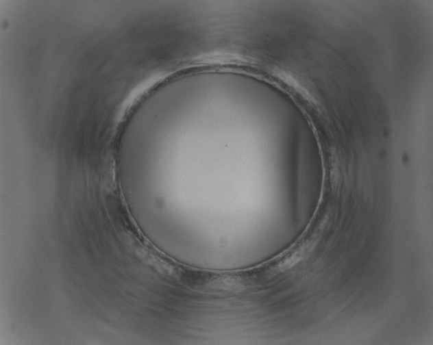 X0000077351358200611031810