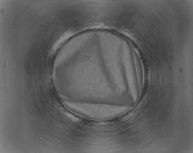 X0000077351359200611031810