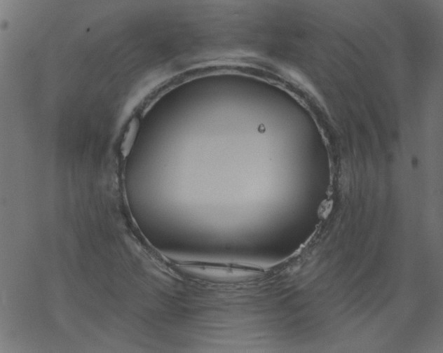 X0000077351360200611031810