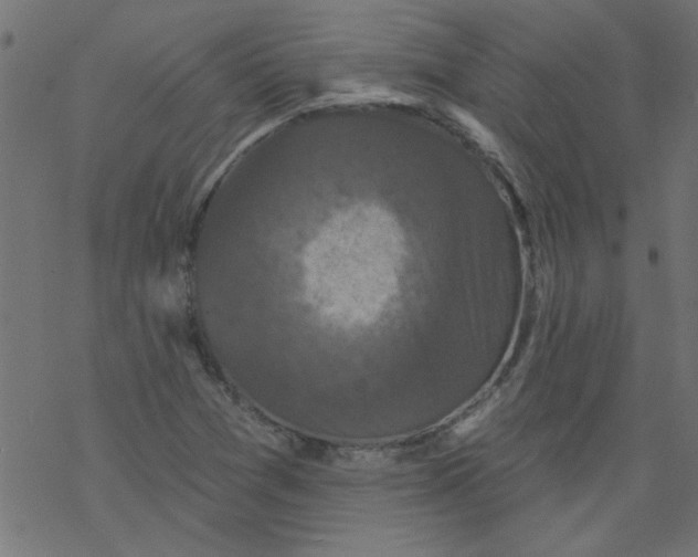 X0000077351361200611031810