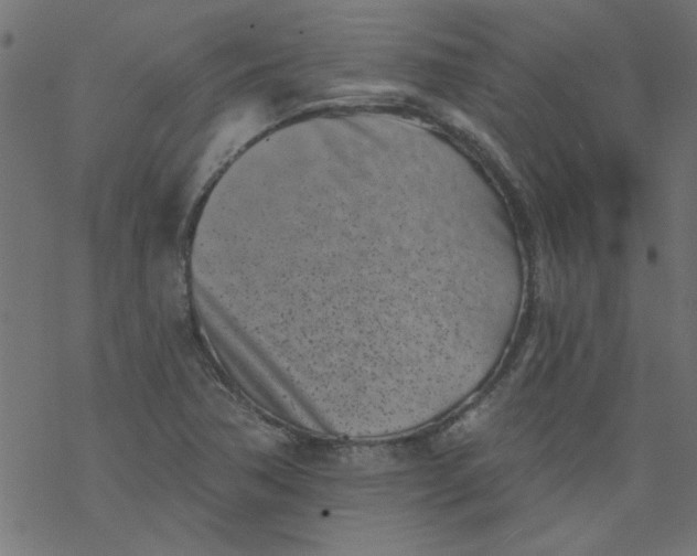 X0000077351362200611031810