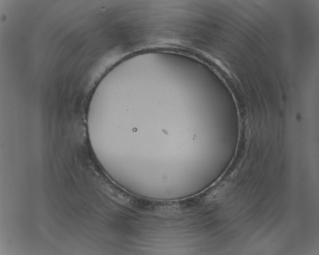 X0000077351363200611031810