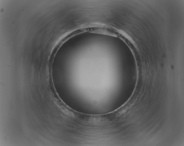 X0000077351364200611031810