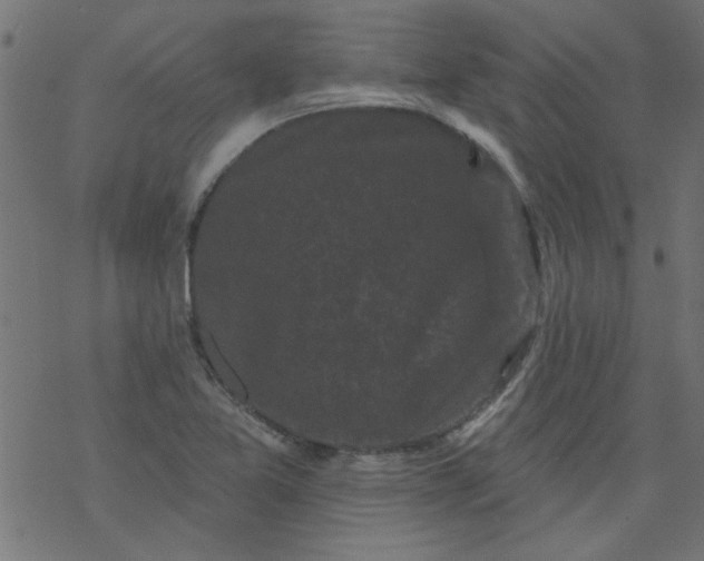 X0000077351365200611031810