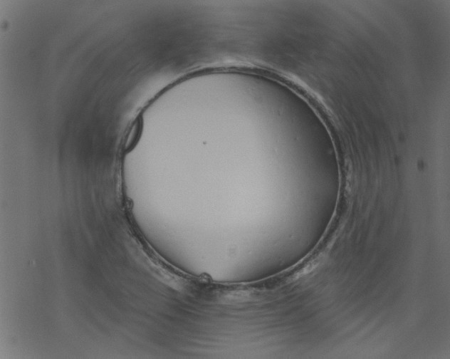 X0000077351367200611031810