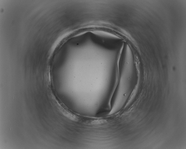 X0000077351368200611031810