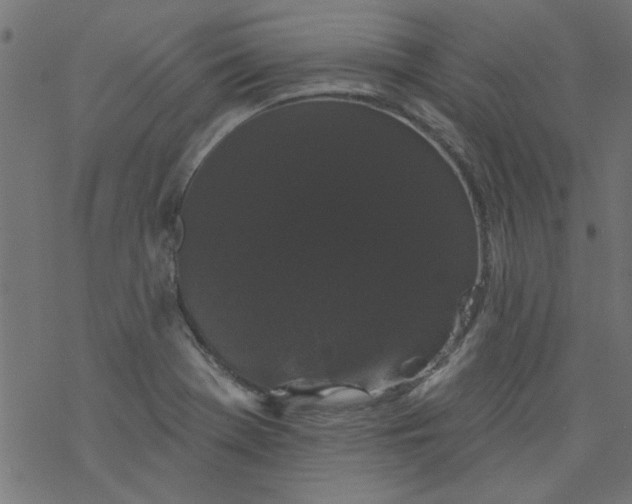 X0000077351369200611031810