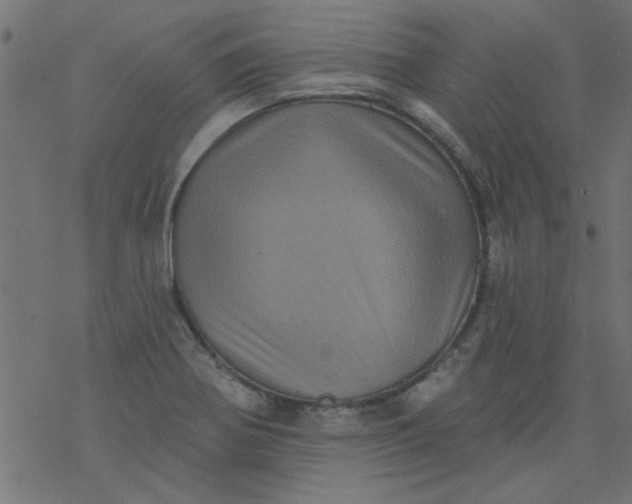 X0000077351370200611031810