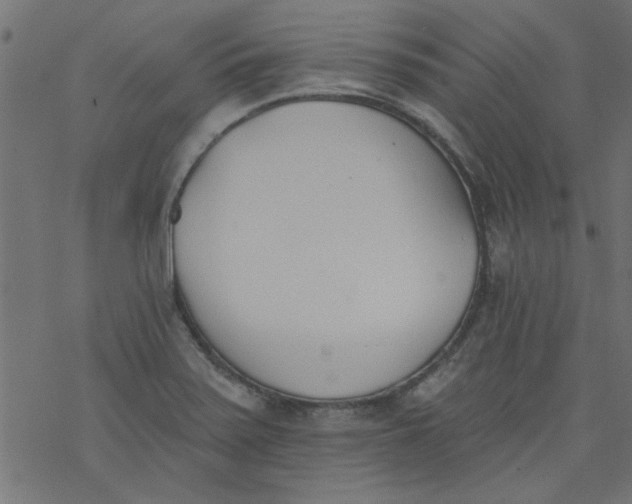 X0000077351371200611031810