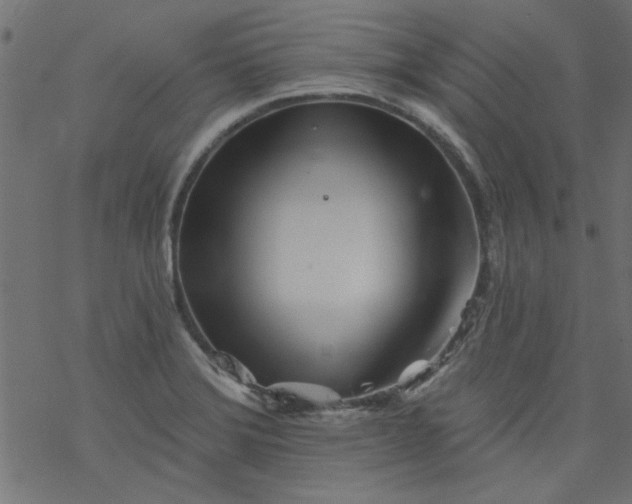 X0000077351372200611031810