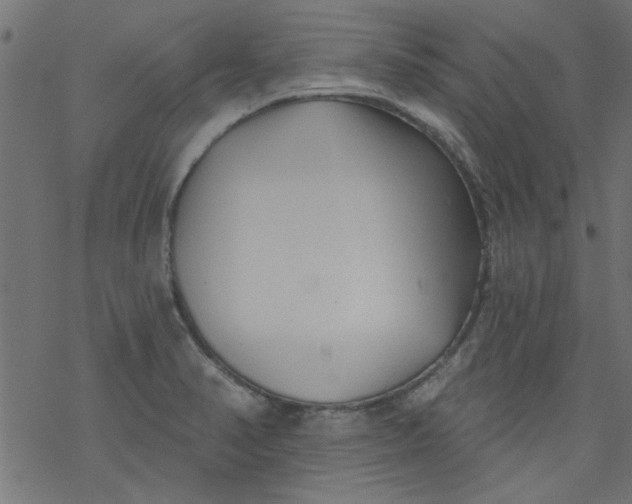 X0000077351374200611031810