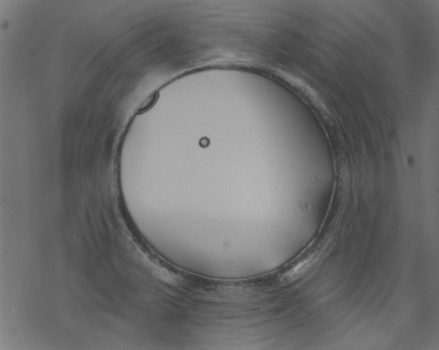 X0000077351375200611031810