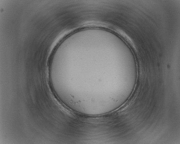 X0000077351376200611031810