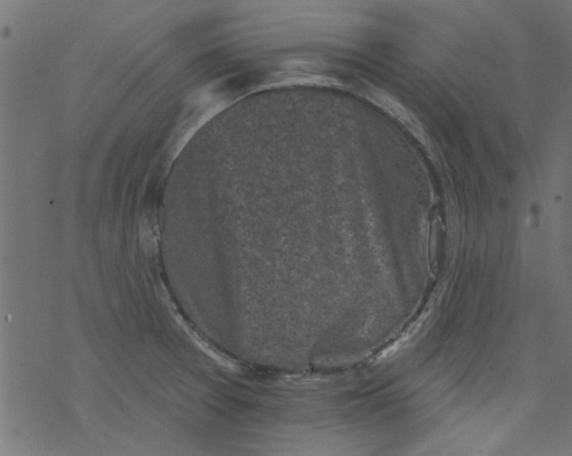 X0000077351377200611031810