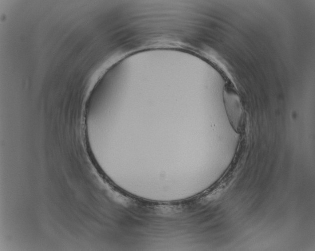 X0000077351379200611031810