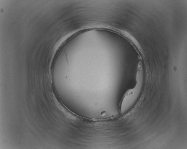 X0000077351380200611031810