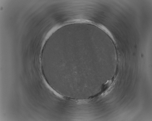 X0000077351381200611031810