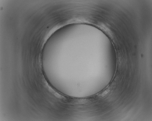 X0000077351382200611031810