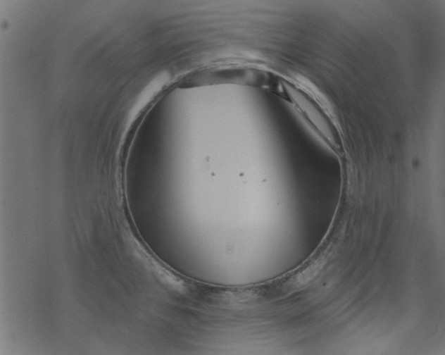 X0000077351384200611031810