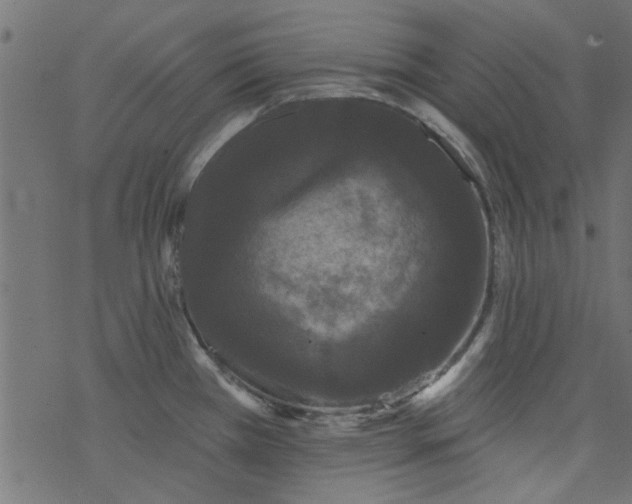 X0000077351385200611031810