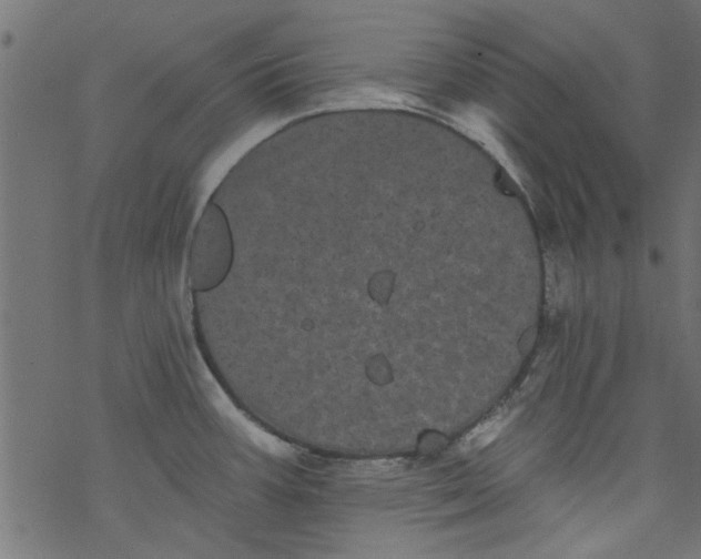 X0000077351387200611031810