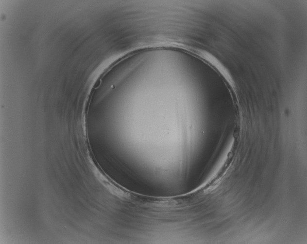 X0000077351388200611031810