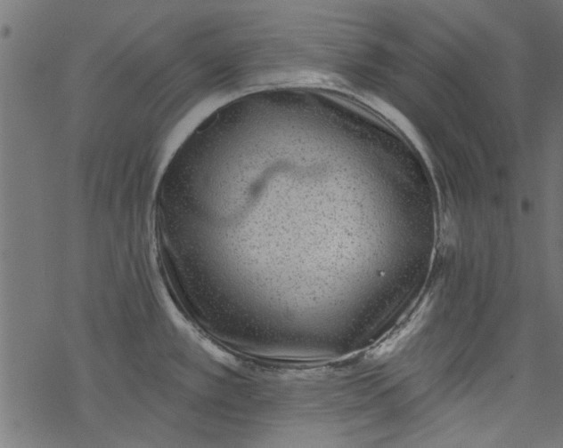 X0000077351389200611031810