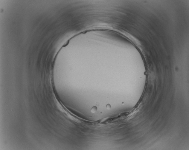 X0000077351390200611031810