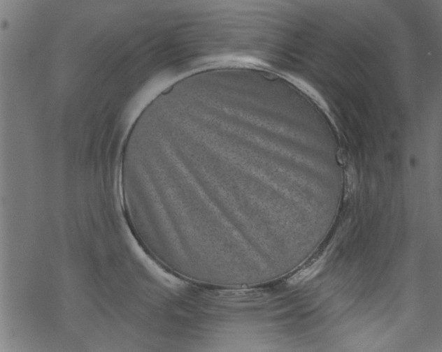 X0000077351391200611031810