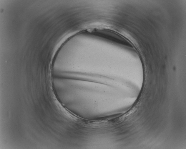 X0000077351392200611031810