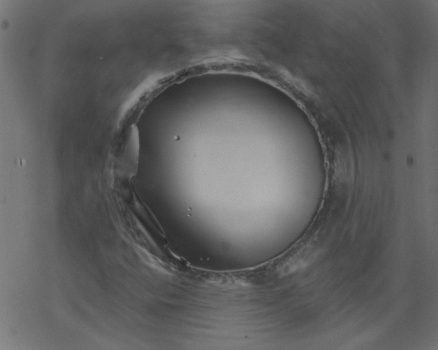 X0000077351400200611031809